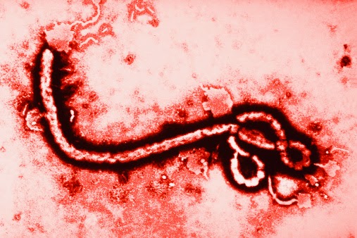 Ebola is to be Feared?