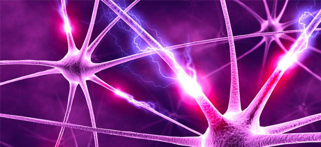 neuronas-electricas