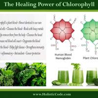 The Healing Power of Chlorophyll