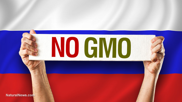 No-GMO-Flag-Russia-1