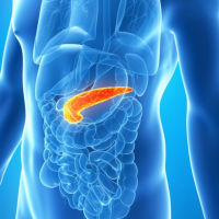 Where Is The Genesis of Pancreatic Cancer? What is the Cause & Is There a Cure?
