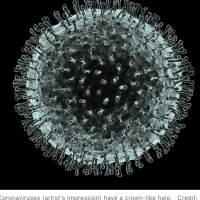 The Corona Virus is Just a Concept That Only Exists on Paper
